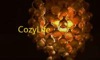CozyLife